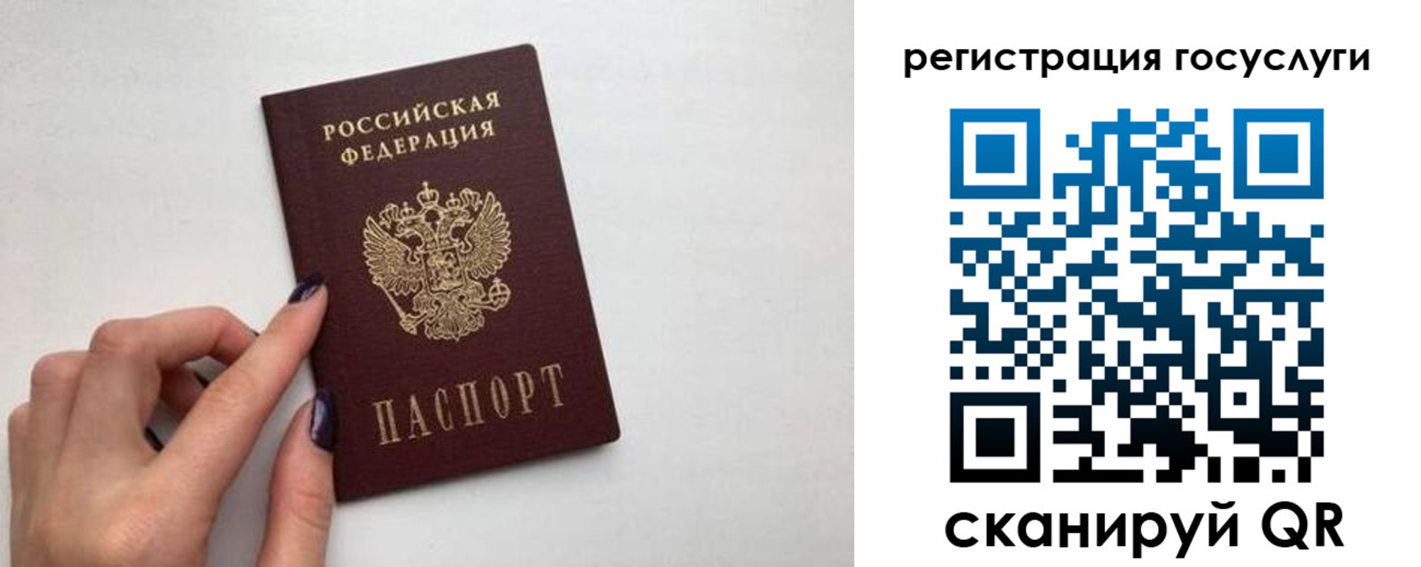 временная регистрация гарантия в Липецкая области